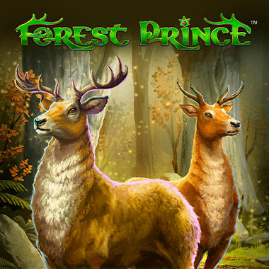 Forest Rock