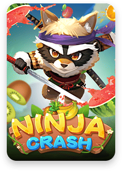 ninja-crash