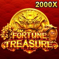 FORTUNE TREASURE
